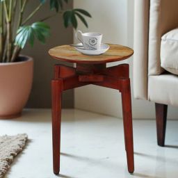 woodsworth from pepperfry Delft Acacia Wood End Table In Dual Tone Finish-picture-46