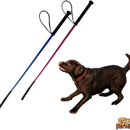 Petfun Dog Training Hunter Stick (COLOR MAY VARY)pack of 2 Nylon, Rubber Training Aid For Dog & Cat-18