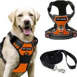 Double Side/Body Ajustable Dog Harness with Leash Dog Collar & Leash-image-3