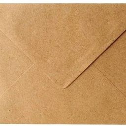 craft 6 x 9 Pack of 25 Envelopes-65