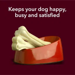 Nootie Pressed Chew Bones Medium Size Plastic Bone For Dog & Cat image 3