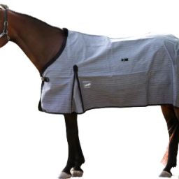 Horse Blanket-image-24