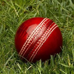 PREMIUM Red Cricket Leather Ball-image-75