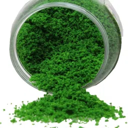 Artificial Foam Grass Powder for Craft Decoration (Green) (50 GRAM)-20