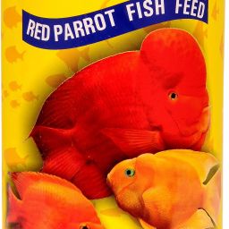 true color 0.75 kg Dry New Born, Adult, Young, Senior Fish Food-image-4