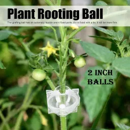 Grafting Rooting Ball 2 INCH - 6 PCS Garden Tool Kit-image-74