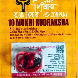10 Mukhi Nepali Rudraksha Ten Faced Rudraksh With Lab Tested Sterling Silver Wood Locket-image-21