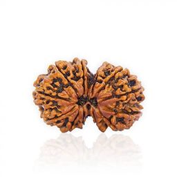 SRT Rudra 9 Mukhi Gauri Shankar Rudraksha Original Certified Gaurishankar Rudraksha Nepal Gori Shankar Rudraksh Original गौरी शंकर रुद्राक्ष Shiv Parvati Rudrksha 9 Mukhi Gaurishankar Rudraksh Pendant image 3