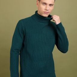 Men Solid Turtle Neck Green Sweater-image-75