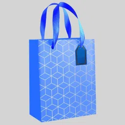 Printed Party Bag-image-92