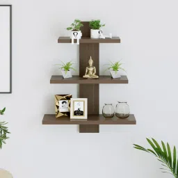 bluewud Phelix Engineered Wood Open Book Shelf image 2
