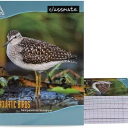 Notebook Regular Notebook Four Lines with Gap 172 Pages-image-82
