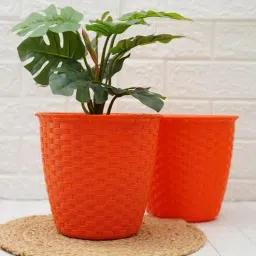 gold dust Orange Plastic (Set of 2) Desk Pots-picture-32