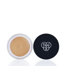 PAC Long-Wearing Studio HD Concealer 12 g - Chopsticks-53