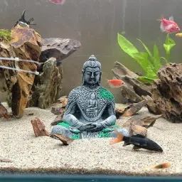 Ancient Look Buddha Statue for Aquarium Pond Fountains and Water Fall Decorations or Fish Tank Laterite Planted Substrate-image-11