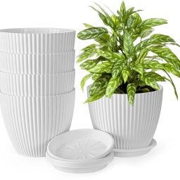 Round Flower Pots with tray for Home & Decoration Planters Plant Container Set-image-97