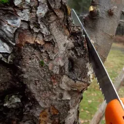 High Quality Gardening 7" Hand Pruning Saw for cutting and gardening Hand Tool Kit-picture-17