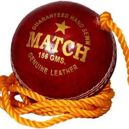 tima 1063 Cricket Training Ball-picture-46