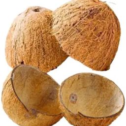 Wooden Decorative Bowl Kerala Natural Coconut Shell|Coconut Raw Shell|Home Decor and Crafts-UNPOLISHED-26