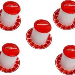 1.5-kg feeder-5Pcs Window Bird Feeder Bird Feeder-picture-22