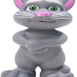 Intelligent Talking Tom Cat ttblaavk 256- Colors May Vary-image-91