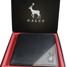 Men Trendy Black, Grey Genuine Leather RFIDWallet-image-41