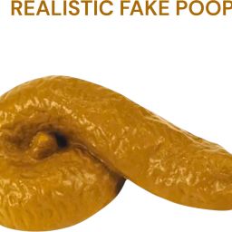 gag toy fake poop for prank artificial fake poop for kids (1 pcs) fake potty Gag Toy-28