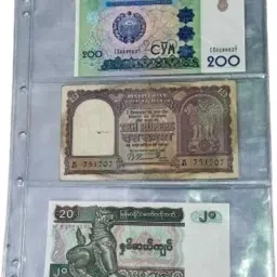 Currency Note Storage Sheets | 3 Divider Transparent Sleeves Pack of 50 sheets Coin Bank-image-2