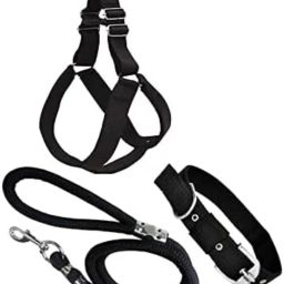 Dog Head Collar-17