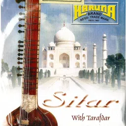 7-11 Sitar Strings-21