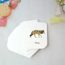 32-Piece Animal Flash Cards Set-14