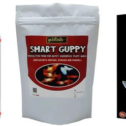 Best Guppy Fish Foods 3 In1 Combo Smart Guppy Food Royal & Eagle Guppy 0.8 kg (3x0.27 kg) Dry Young Fish Food-10