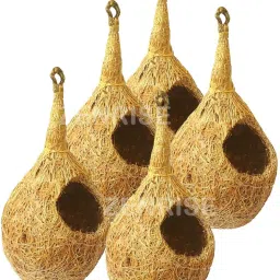 5 in 1 pack handmade coco nest Bird House-6