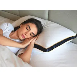 sleepsia Cloud Microfiber 27 x 18 Inch Pillow-picture-45