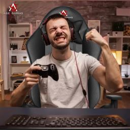 Gold Series Ergonomic Gaming Chair with Head & Lumbar Pillow Gaming Chair-image-32