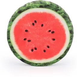 Microfibre Fruits Cushion Pack of 1-8