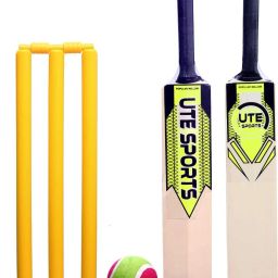 Fire Wooden bat, Plastic stump,1 tennis ball Kit Size 5 For Age Group 7-10 Cricket Kit-image-52