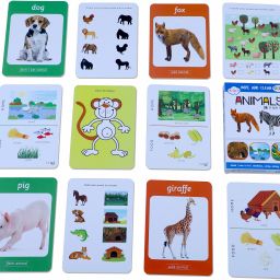 kyds play Early Learning Combo - Alphabets + Numbers + Colours & Shapes + Fruits & Vegetables + Animals, Wipe & Clean Activity Flash Cards image 3