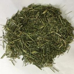 100% Organic and Pure Hara Chirayata Kadwa Asli-Bittersick,Swertia chirata Seed-image-26