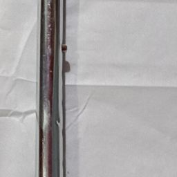 Walking stick-Orange for oldest Walking Stick-image-56