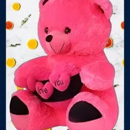 Teddy-3 Dil Teddy Bear Soft Toy - 42 cm-18
