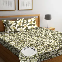 Steve & Anderson Joy Brown & Blue Floral 160 TC Queen Bedsheet with 2 Pillow Covers-image-23