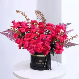 Blushed In Blooming Bold Hues-image-14