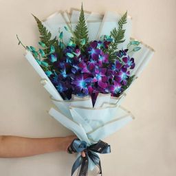 A Serenade Of Orchids-14
