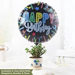Birthday Wishes Jade Plant Floral Pot-image-59