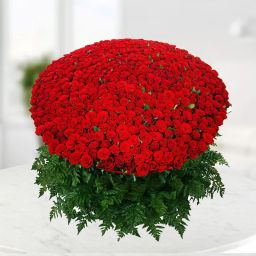 1000 Roses Bunch-75