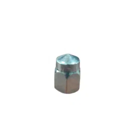 EV RIM BOLT-19
