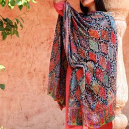 DUSALA INDIA Ethnic Motifs Embroidered Shawl-image-45