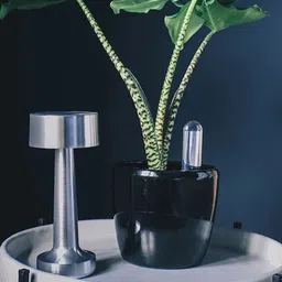 THE ARTMENT The Solace Collective Beige Metal Table Lamp-48