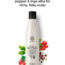 BRILLARE Sustainable Dandruff Control Shampoo for Itchy & Flaky Scalp - 300 ml image 2